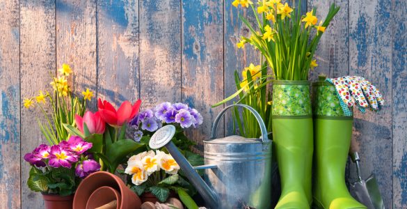 An image of wellington boots, flowers and pots to represent gardening