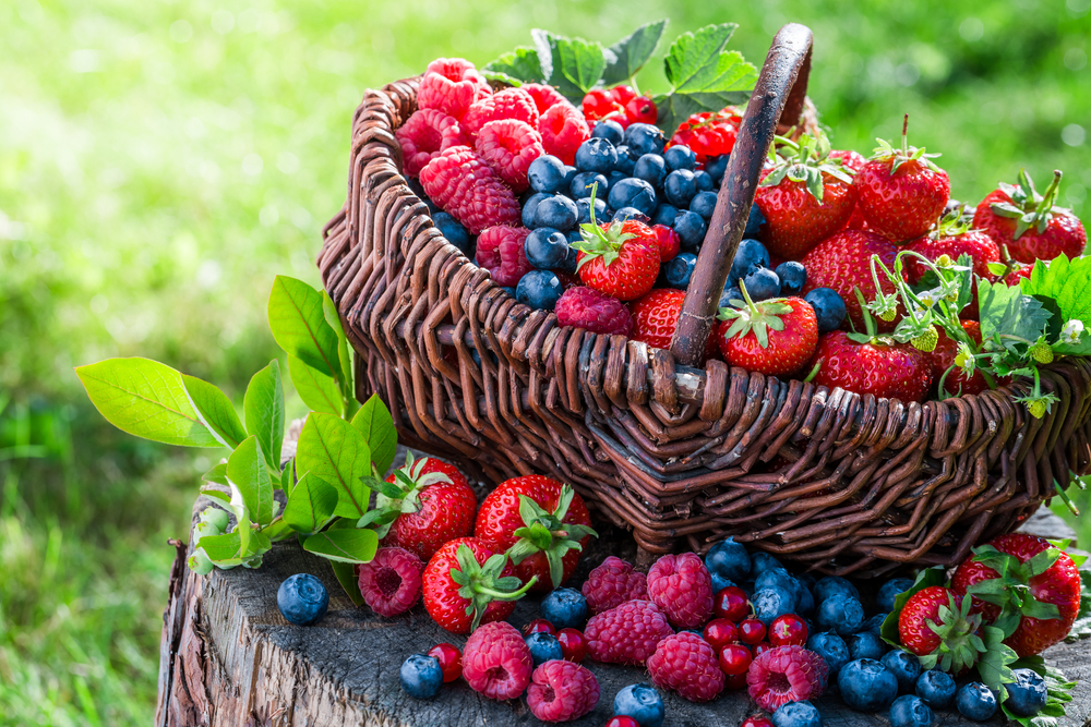 A basket of berry fruits