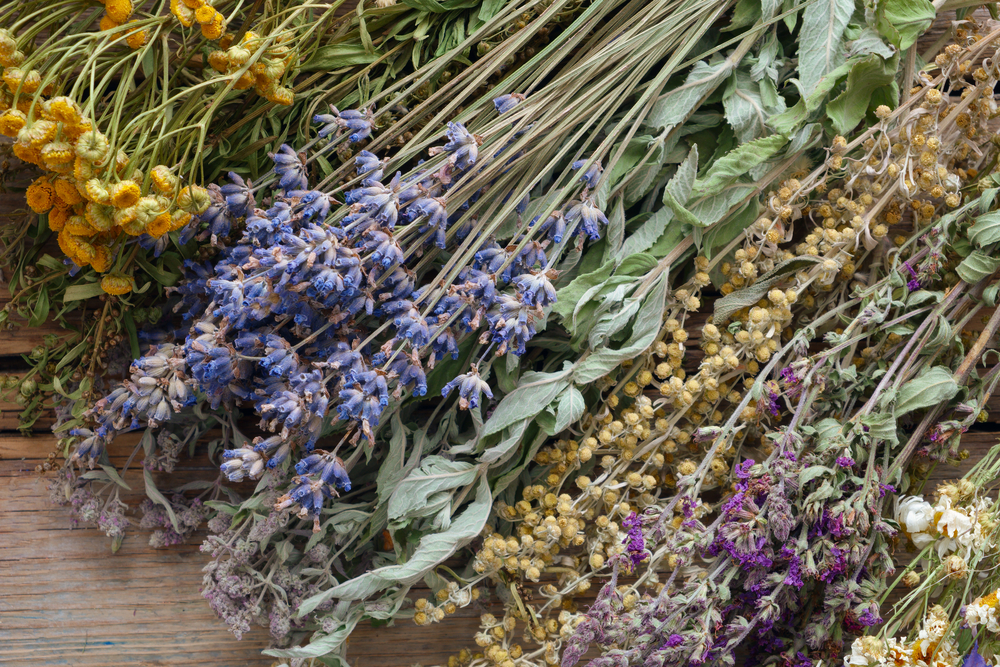 A range of dried flowers and herbs