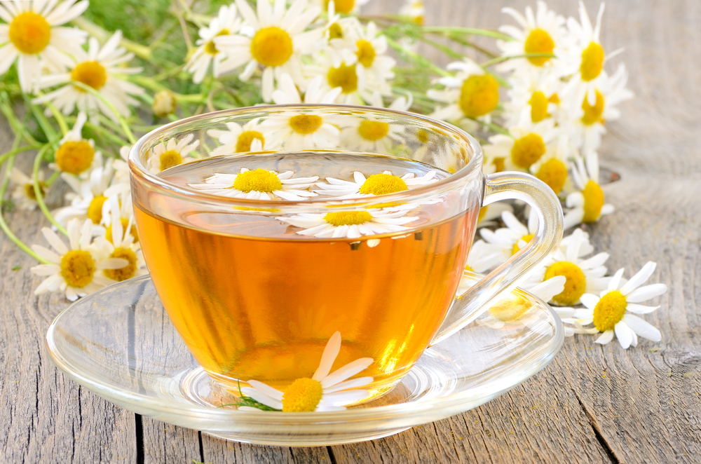 CLose up of a cup of camomile tea surrounded by camomile flowers