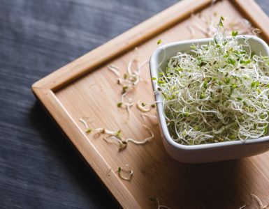 Alfalfa sprouts in a white bowl on a wooden board background