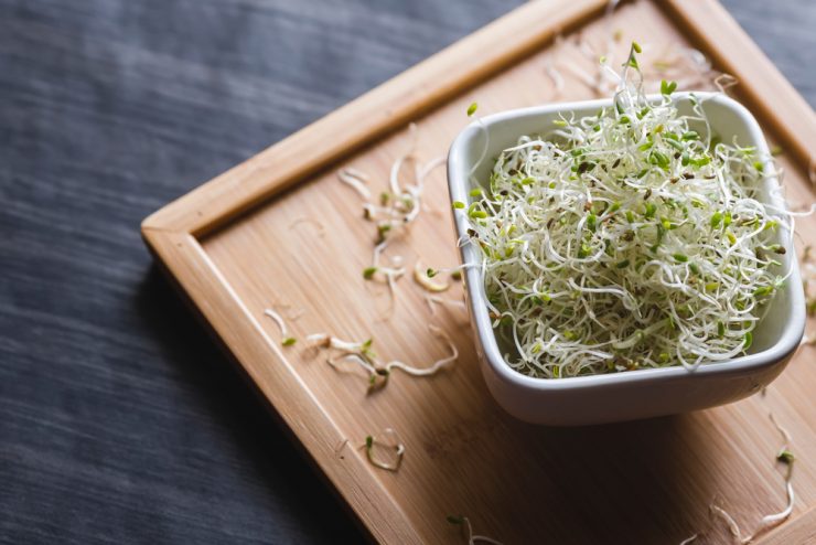 Alfalfa sprouts in a white bowl on a wooden board background