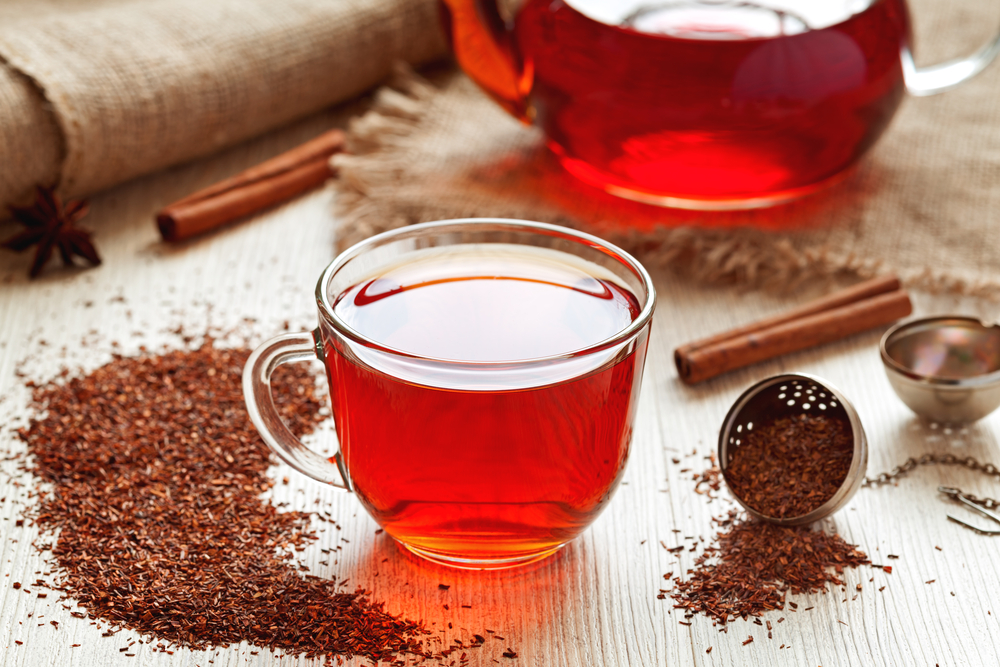 A cup of rooibos tea with the rooibos plant and powder next to it