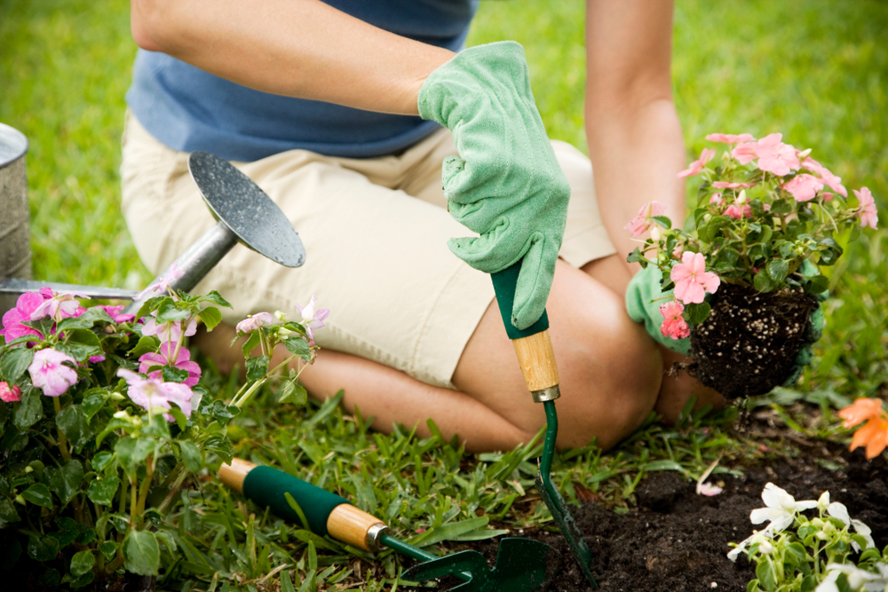 Close up of woman digging flower bed