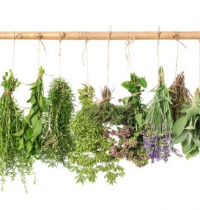 A range of herbs hanging up and drying
