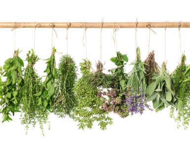 A range of herbs hanging up and drying