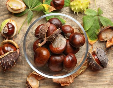 A bowl of horse chestnuts